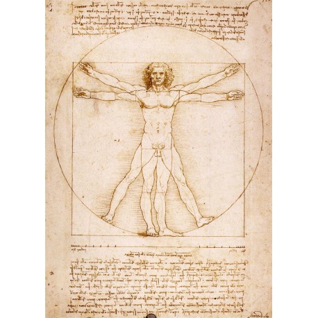 El Hombre de Vitruvio, Da Vinci, Algomasquearte