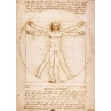El Hombre de Vitruvio, Da Vinci