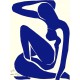 Blue Nude I, Matisse, Algomasquearte
