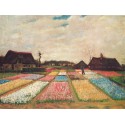 Campo de tulipanes, Van Gogh