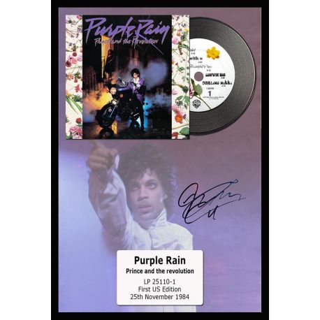 Disco Prince Purple Rain algomasquearte