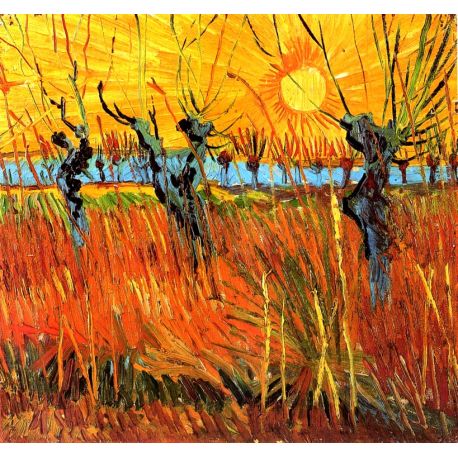 Pollard Willows at Sunset Sauces a la puesta de Sol Van Gogh algomasquearte