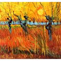 Pollard Willows at Sunset-Sauces a la puesta de Sol, Van Gogh