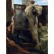 Reproduccion, Cuadro, ¿Quien es?, Alma-Tadema - 1863, Algomasquearte